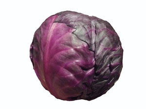 Cabbage Ruby-Ball-