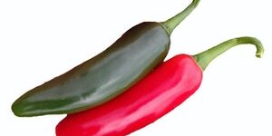Hot Pepper - Caritas