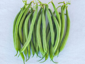 OUTSTANDING QUALITIES HIGH YIELD POTENTIAL GOOD DISEASE RESISTANCE PACKAGE GOOD LEAF COVER AND QUALITY PODS FRENCH BEAN SEGMENT IDEAL FOR PRE-PACKING 