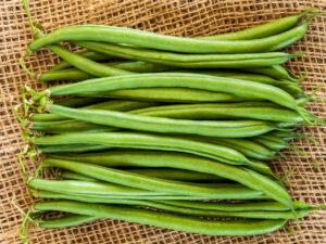 Runner bean